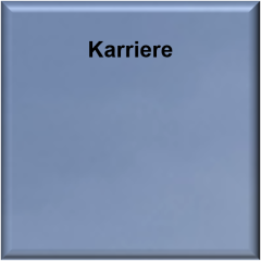 Karriere